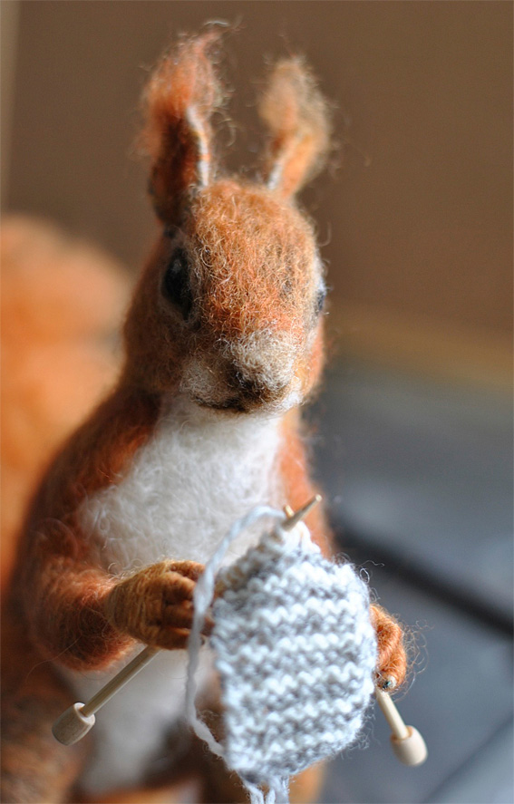 About Knitting Squirrel