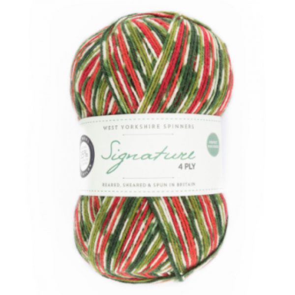 WYS Signature 4ply Christmas Sock Yarn - Image 7