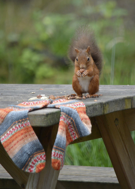 Sweet and Spicy Socks 1