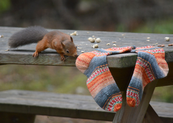 Sweet and Spicy Socks 3