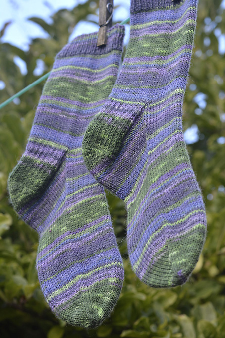 Rainforest Socks 1