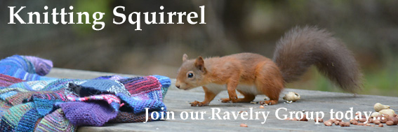 Knitting Squirrel Ravelry Group
