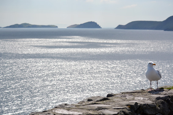 Blasket Islands