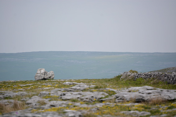 The Burren