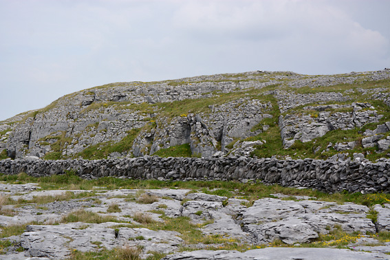 The Burren