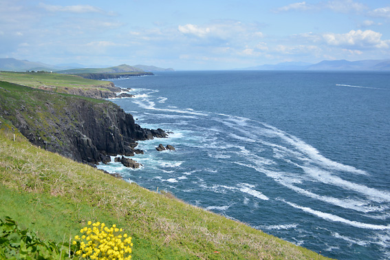 Dingle