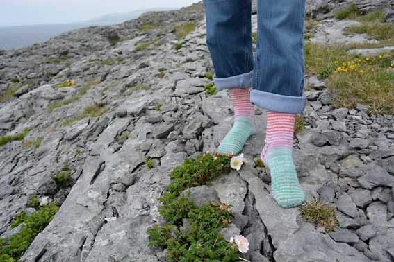 Knit Circus Socks