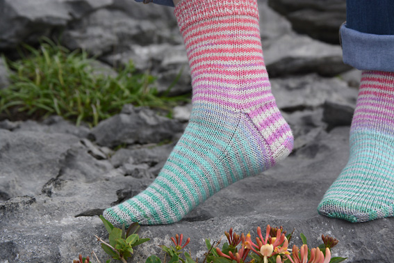 Knit Circus Socks