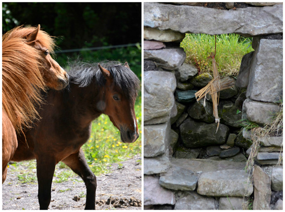 Kerry Bog Village