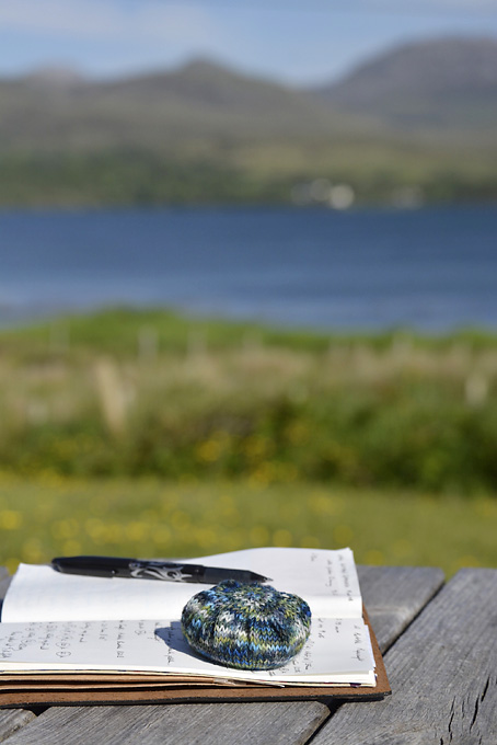 Pebble Paperweight