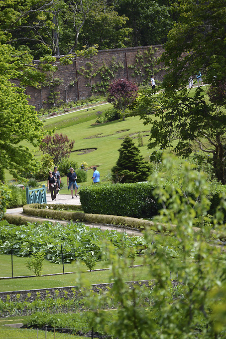 3 Colour Cashmere Cowl