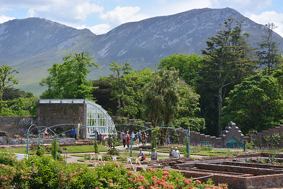 3 Colour Cashmere Cowl