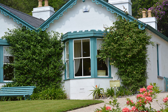 3 Colour Cashmere Cowl