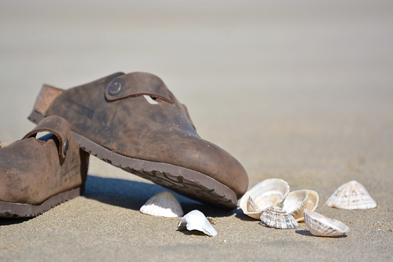 Patterns in the Sand