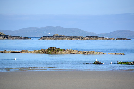Patterns in the Sand