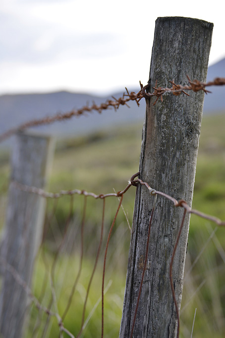 Wandering Socks Beenkeragh Gap Kerry