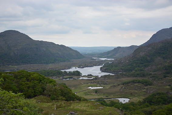 Wandering Socks Ladies View
