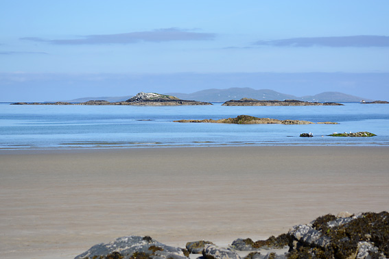 Wandering Sock Lettergesh Beach