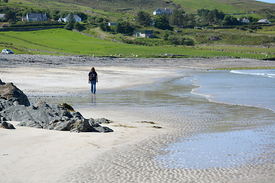 Wandering Sock Lettergesh Beach