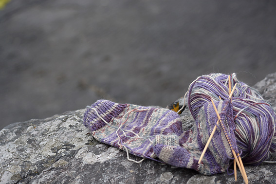 Wandering Socks Tetrapod Tracks 