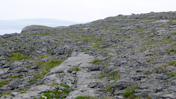 Wandering Socks The Burren