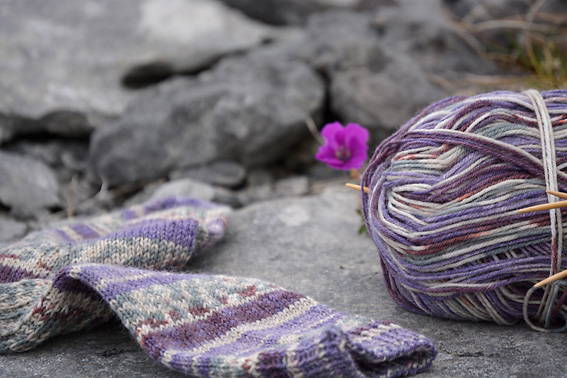 Wandering Socks The Burren