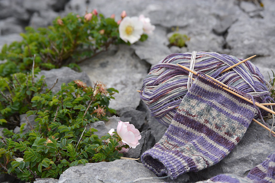 Wandering Socks The Burren