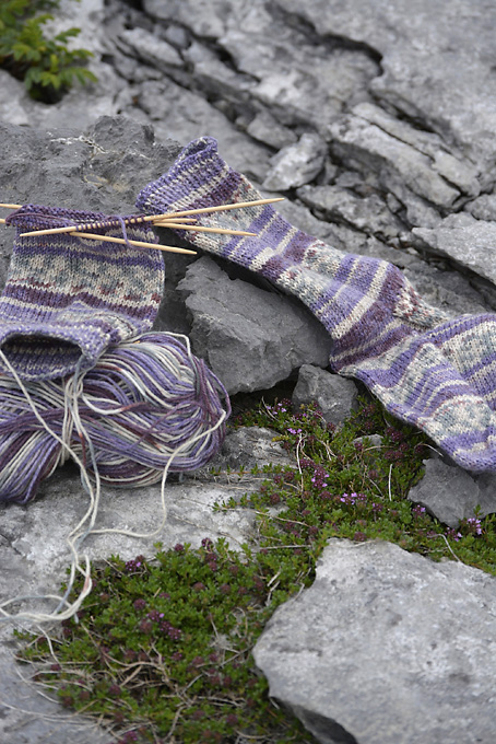 Wandering Socks The Burren