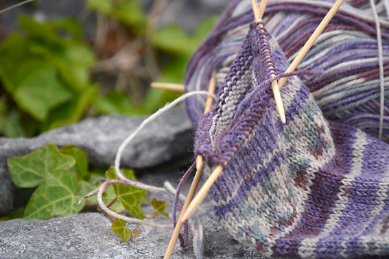 Wandering Socks The Burren