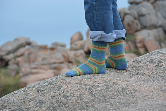 Little Yellow Daisy Socks