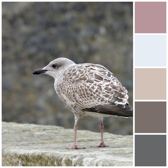 Shetland Colour Inspiration 3