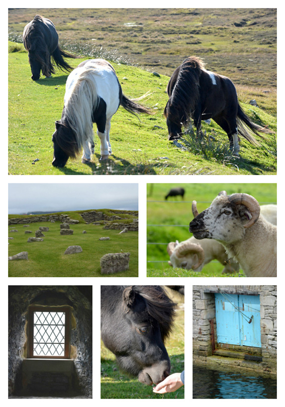 Shetland Colour Inspiration 15