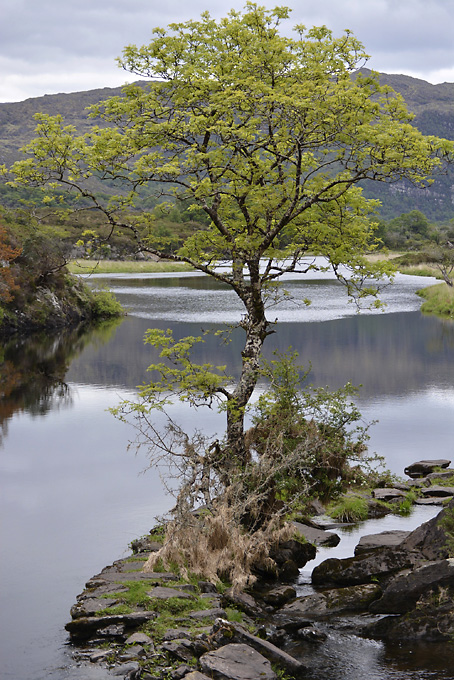 Old Weir Bridge