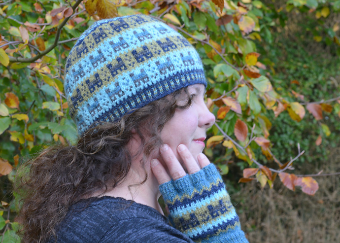 Crofthoose Hat & Fingerless Gloves