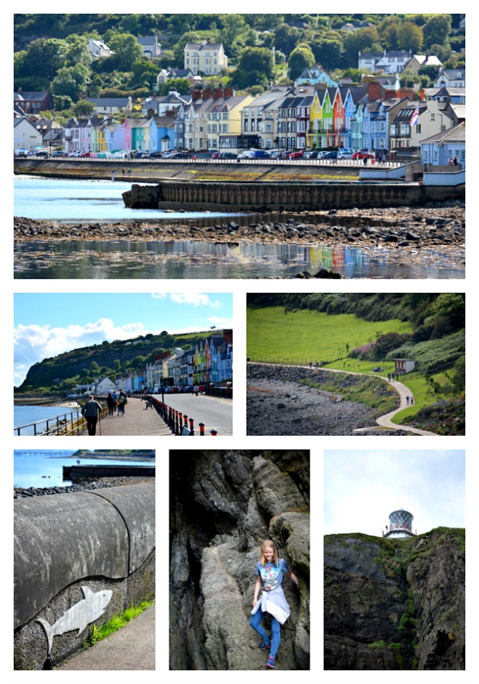 Yarnfolk Festival of Wool 2017