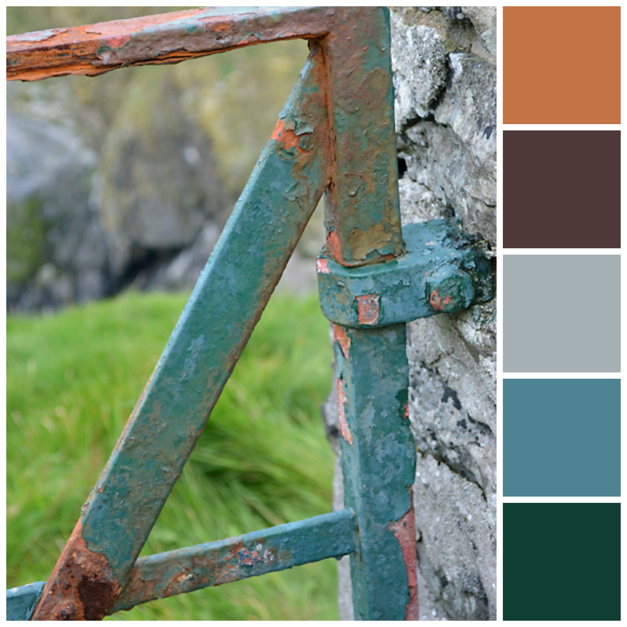 Shetland Colour Inspiration a