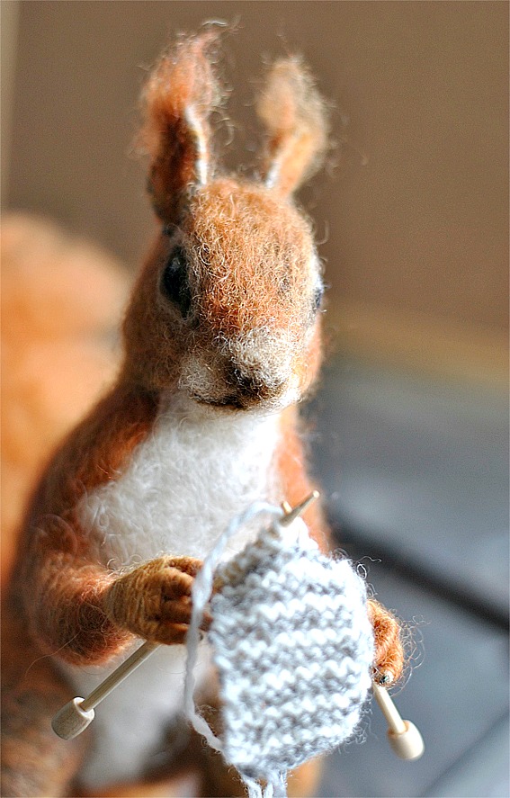 Knitting Squirrel