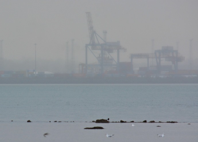 Norwegian Star Hat No2