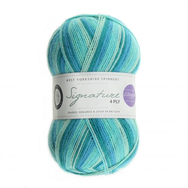 WYS Signature 4 ply Winwick Mum Collection 873 Seascape