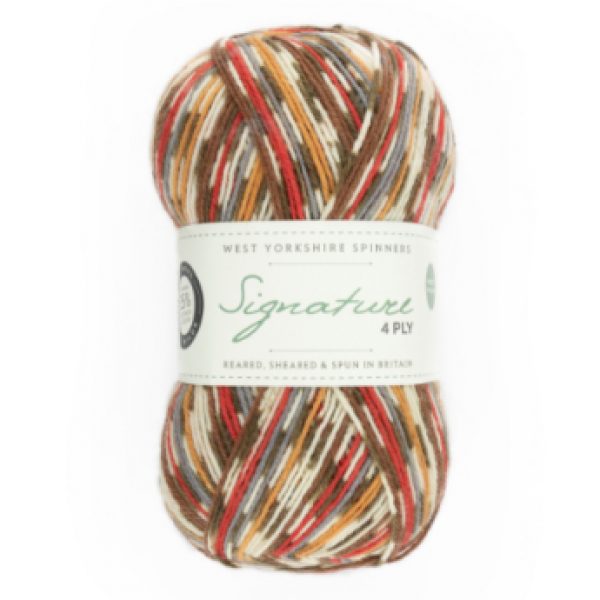WYS Signature 4ply Christmas Sock Yarn - Image 8