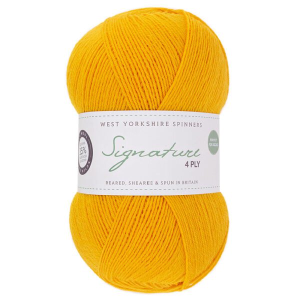 WYS Signature 4ply Happy Feet - Image 3