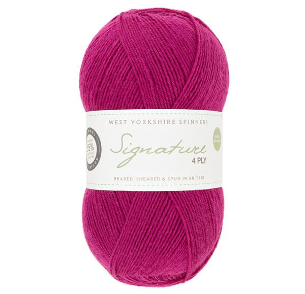 WYS Signature 4ply Happy Feet - Image 4