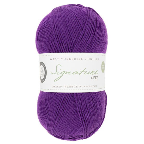 WYS Signature 4ply Happy Feet - Image 5