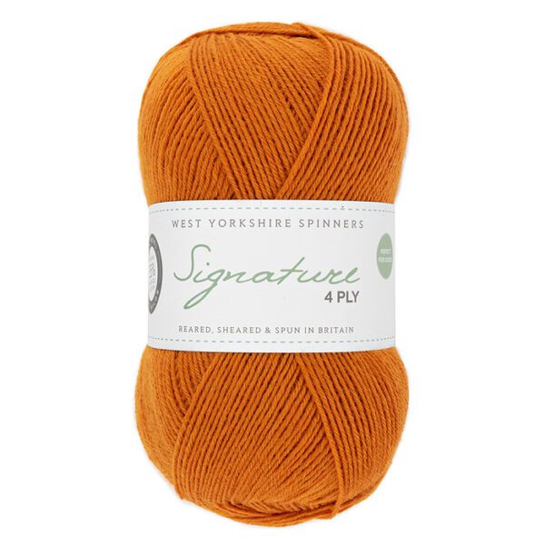 WYS Signature 4ply Happy Feet - Image 6