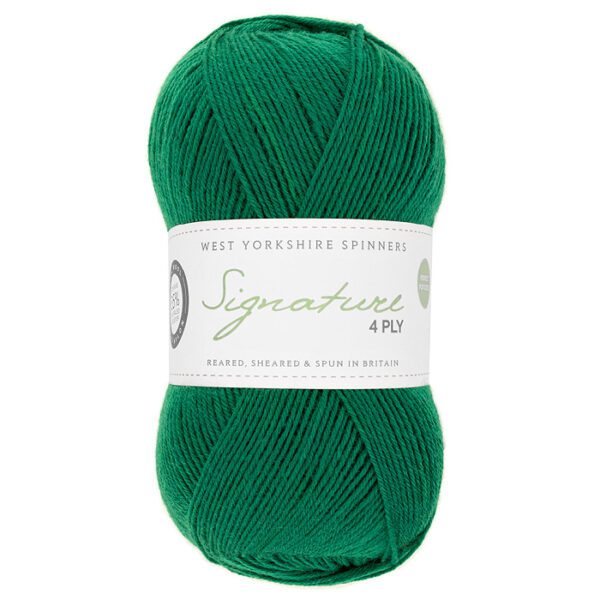 WYS Signature 4ply Happy Feet - Image 8