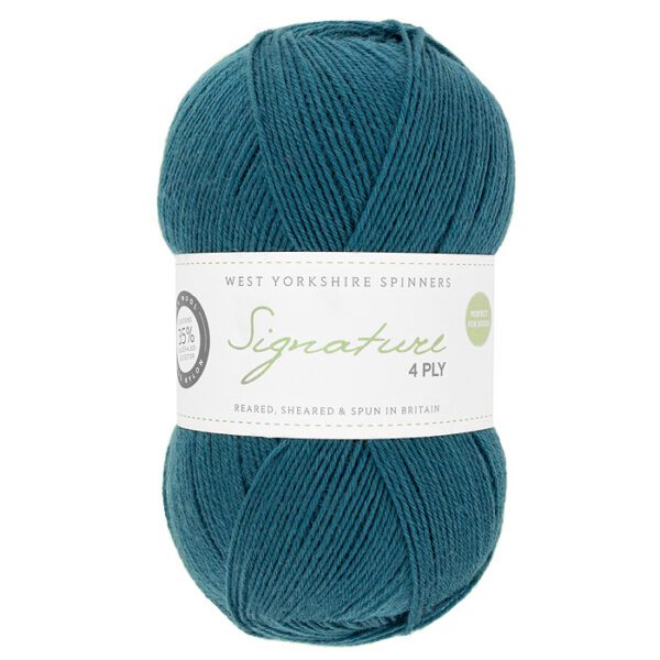WYS Signature 4ply Happy Feet - Image 9