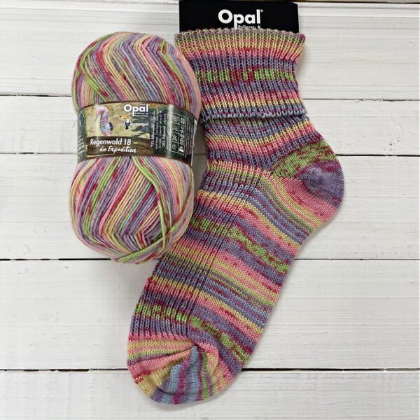 Opal Rainforest 18 Sock Yarn - Image 8