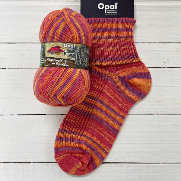 Opal Rainforest 18 Sock Yarn - Image 4