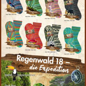 Opal Rainforest 18 Sock Yarn