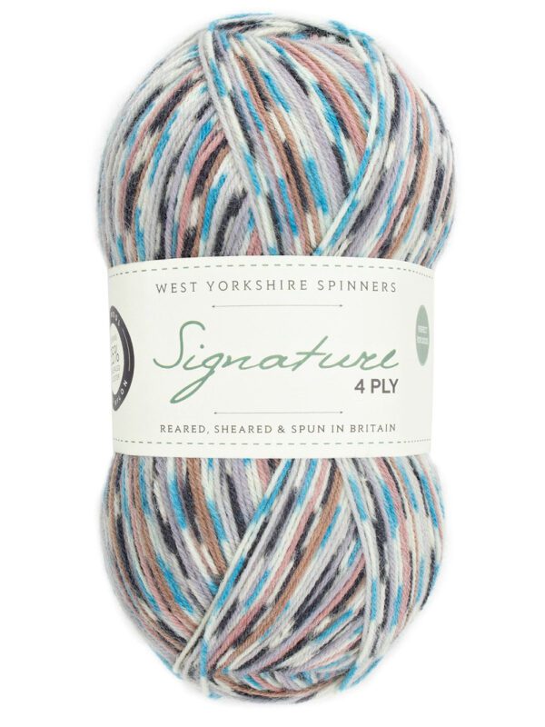 WYS Signature 4ply Sock Yarn Country Birds - Image 11
